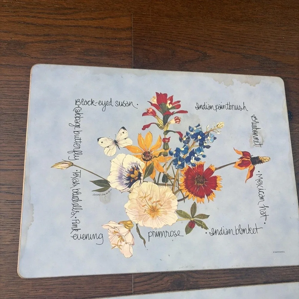 Pimpernel‎ Placemats (4) Southern Texas Wildflowers Wood Cork Used Cottagecore